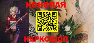 гидра Камышлов