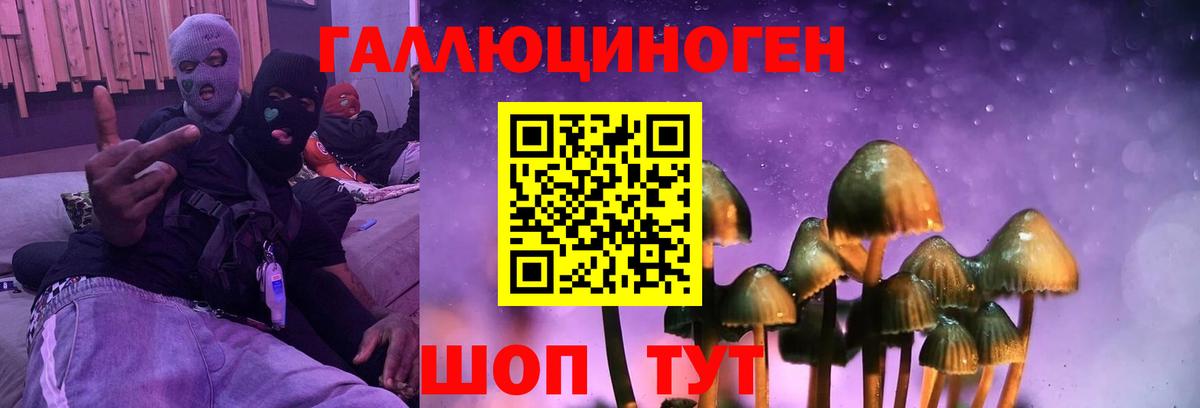 Кудрово  Галлюциногенные грибы Psilocybe  Вход с VPN  Псилоцибиновые грибы ЛСД 